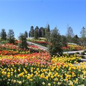 Tulsa Botanic Garden