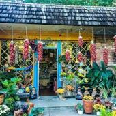 Grumpys Garden