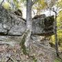 Redbud Valley