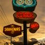 Route 66 Attractions and Businesses