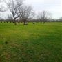 Verdigris Ranch