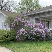 Cherry Street bungalow
