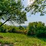 Jarrett Farm Resort