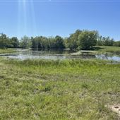 Debbie Scott Ranch