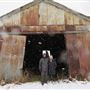 100-Year-Old Dairy Farm
