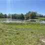 Debbie Scott Ranch